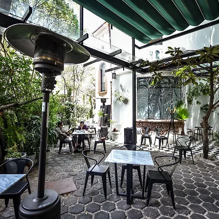 Orchid House Mexico City-3